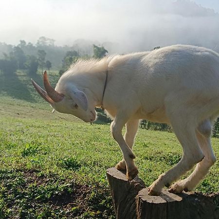 ไร่นิธิสุนทร Nithisoonthon Farmstay Mae Hong Son Eksteriør bilde