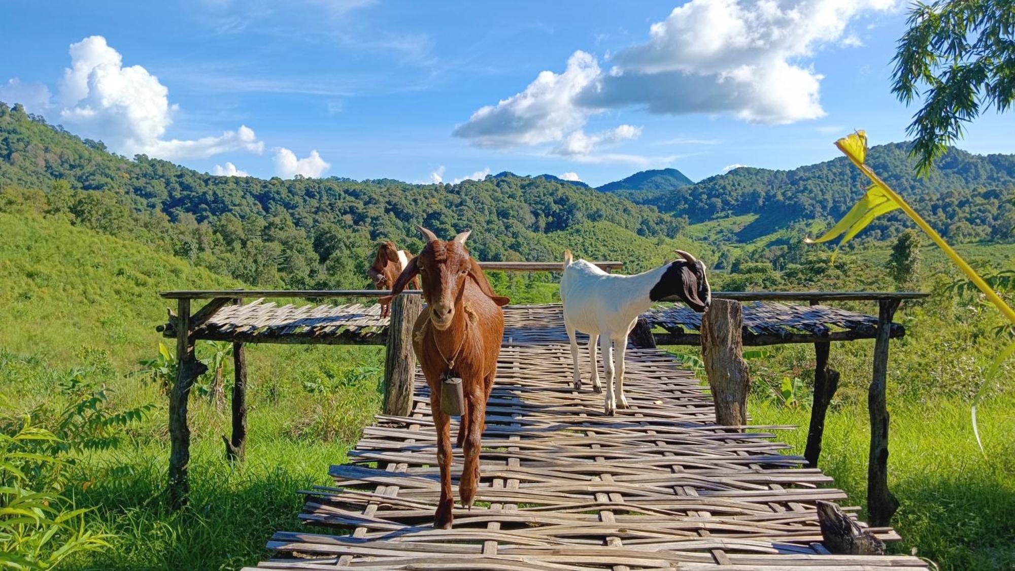 ไร่นิธิสุนทร Nithisoonthon Farmstay Mae Hong Son Eksteriør bilde