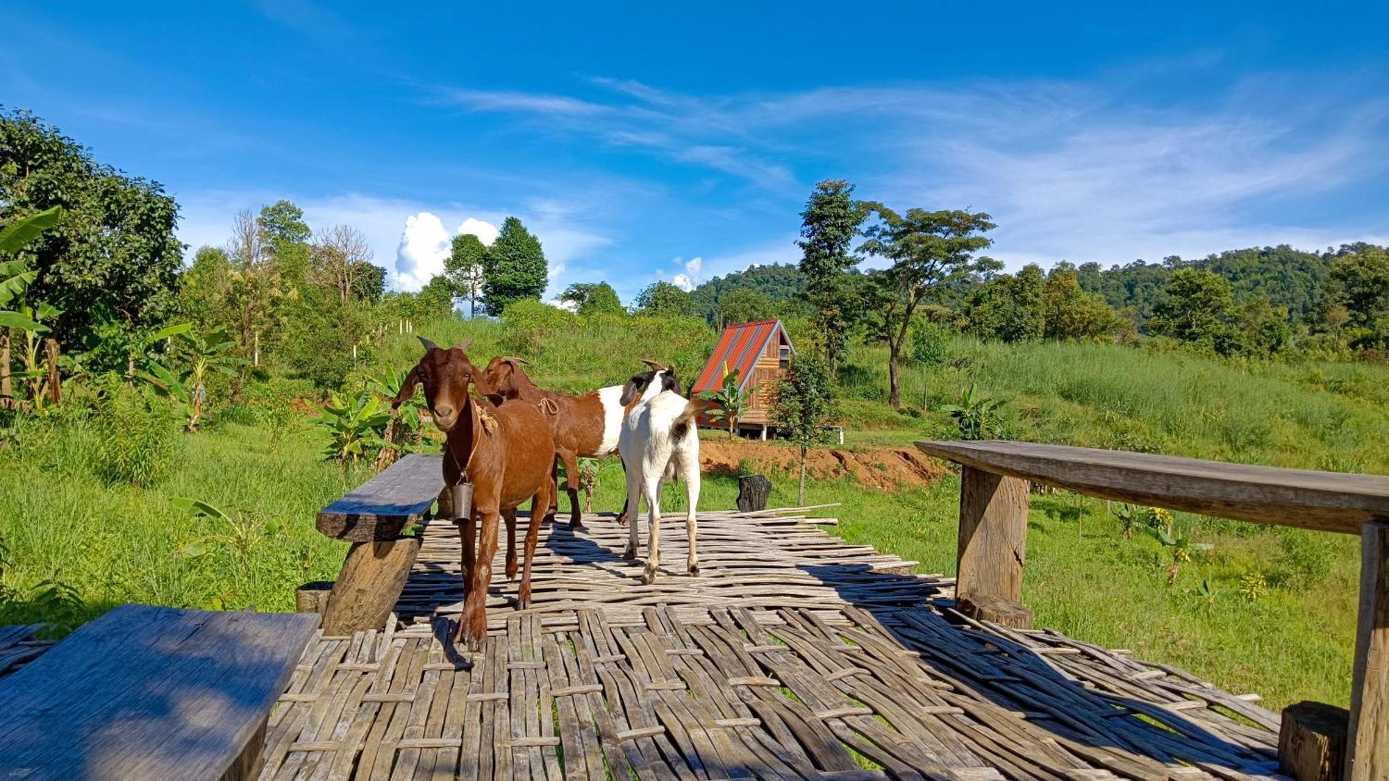 ไร่นิธิสุนทร Nithisoonthon Farmstay Mae Hong Son Eksteriør bilde
