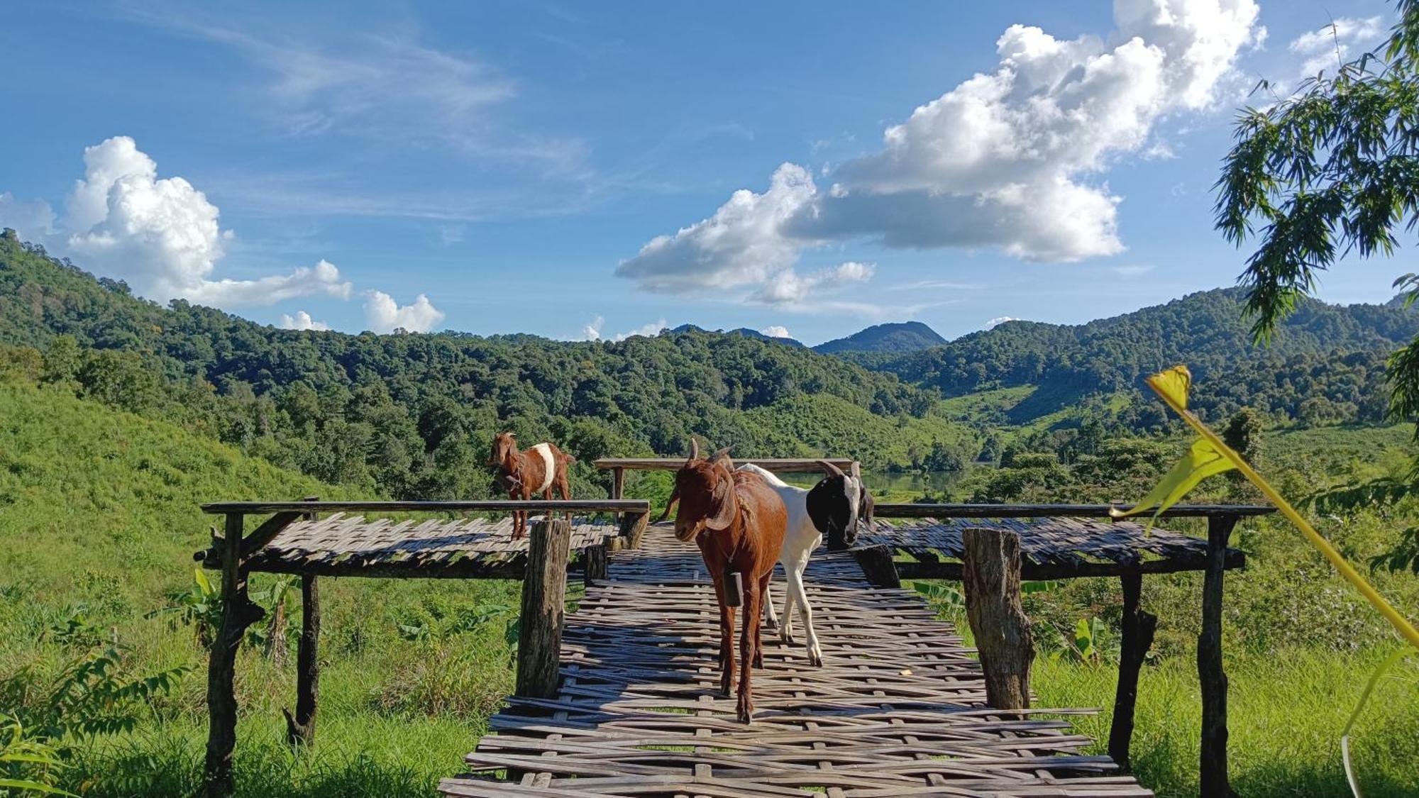 ไร่นิธิสุนทร Nithisoonthon Farmstay Mae Hong Son Eksteriør bilde