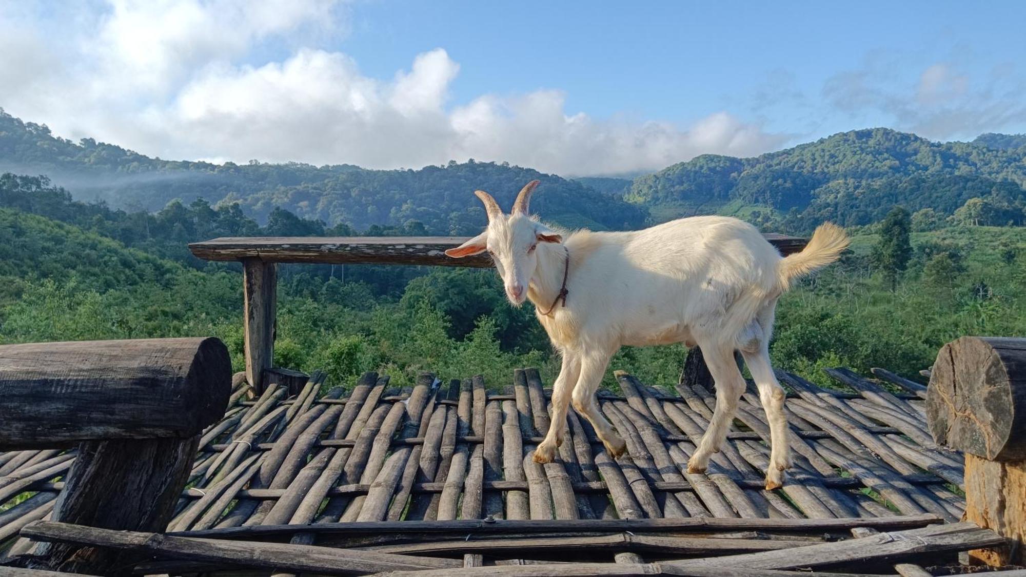 ไร่นิธิสุนทร Nithisoonthon Farmstay Mae Hong Son Eksteriør bilde