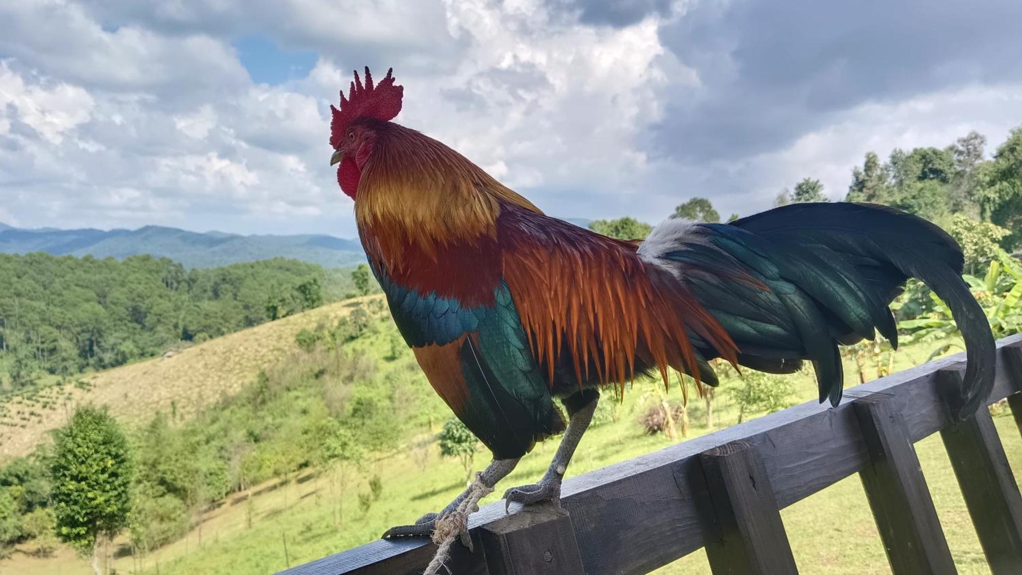 ไร่นิธิสุนทร Nithisoonthon Farmstay Mae Hong Son Eksteriør bilde