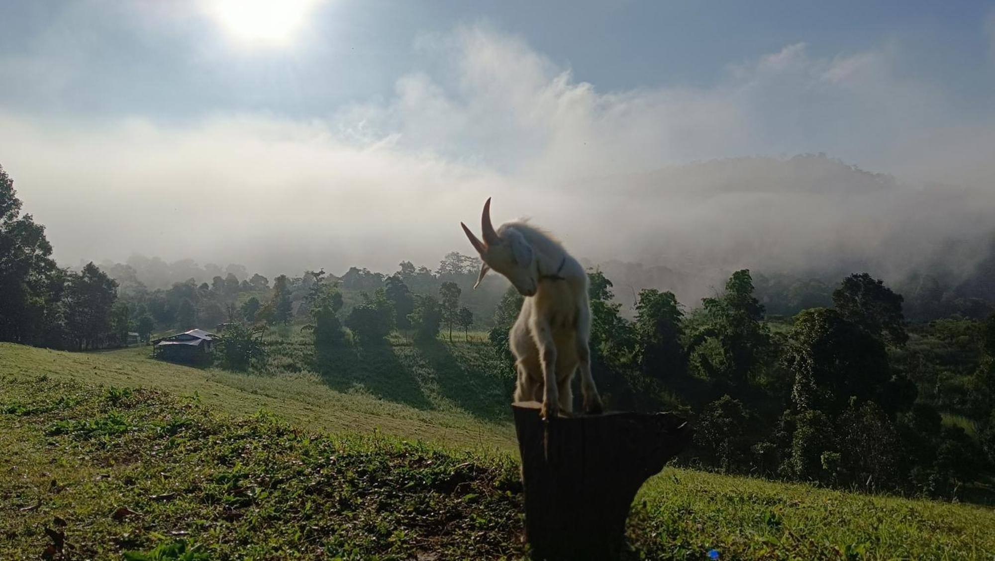 ไร่นิธิสุนทร Nithisoonthon Farmstay Mae Hong Son Eksteriør bilde