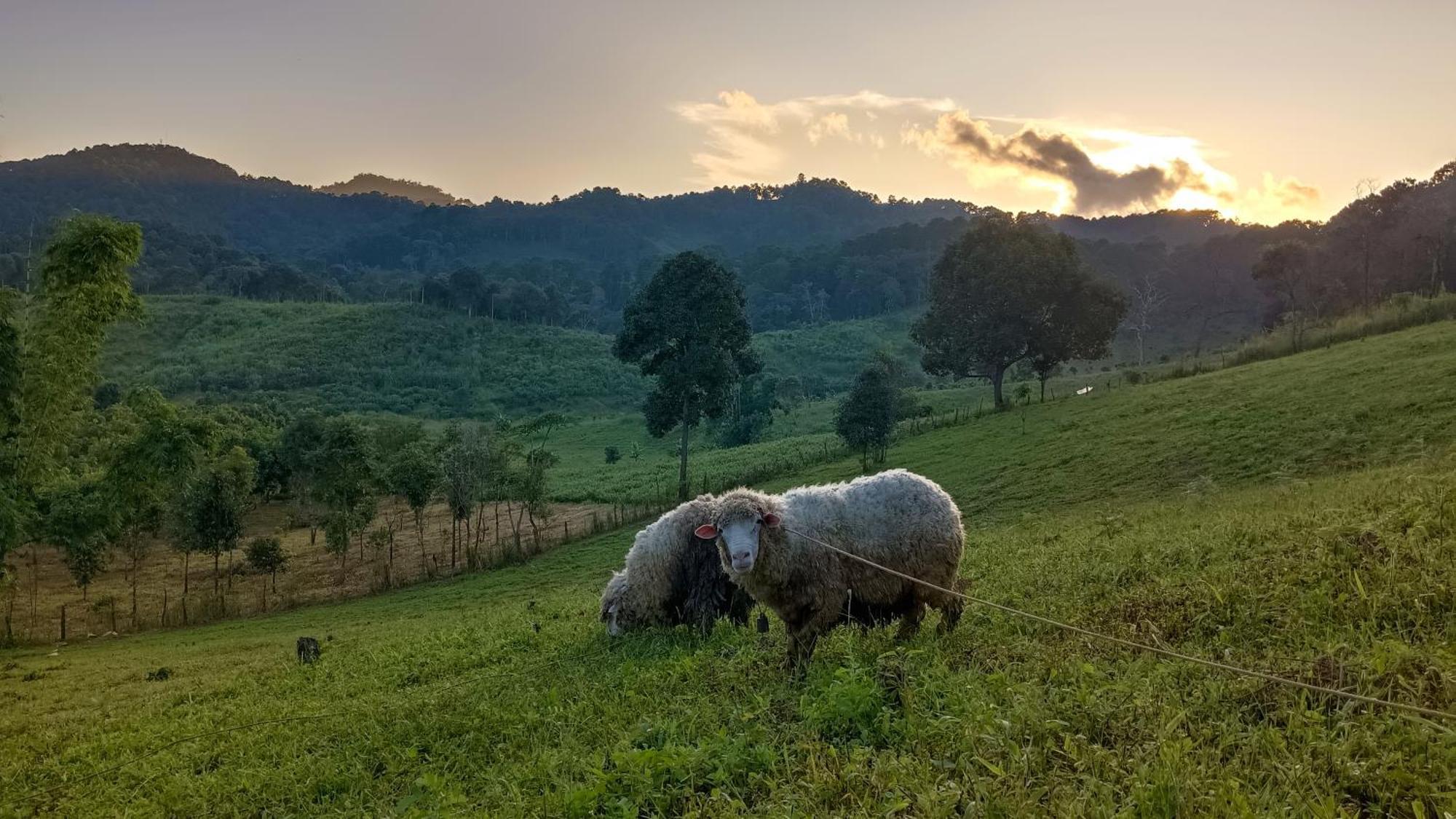 ไร่นิธิสุนทร Nithisoonthon Farmstay Mae Hong Son Eksteriør bilde