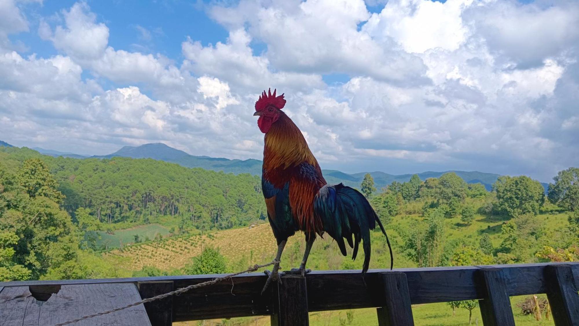 ไร่นิธิสุนทร Nithisoonthon Farmstay Mae Hong Son Eksteriør bilde
