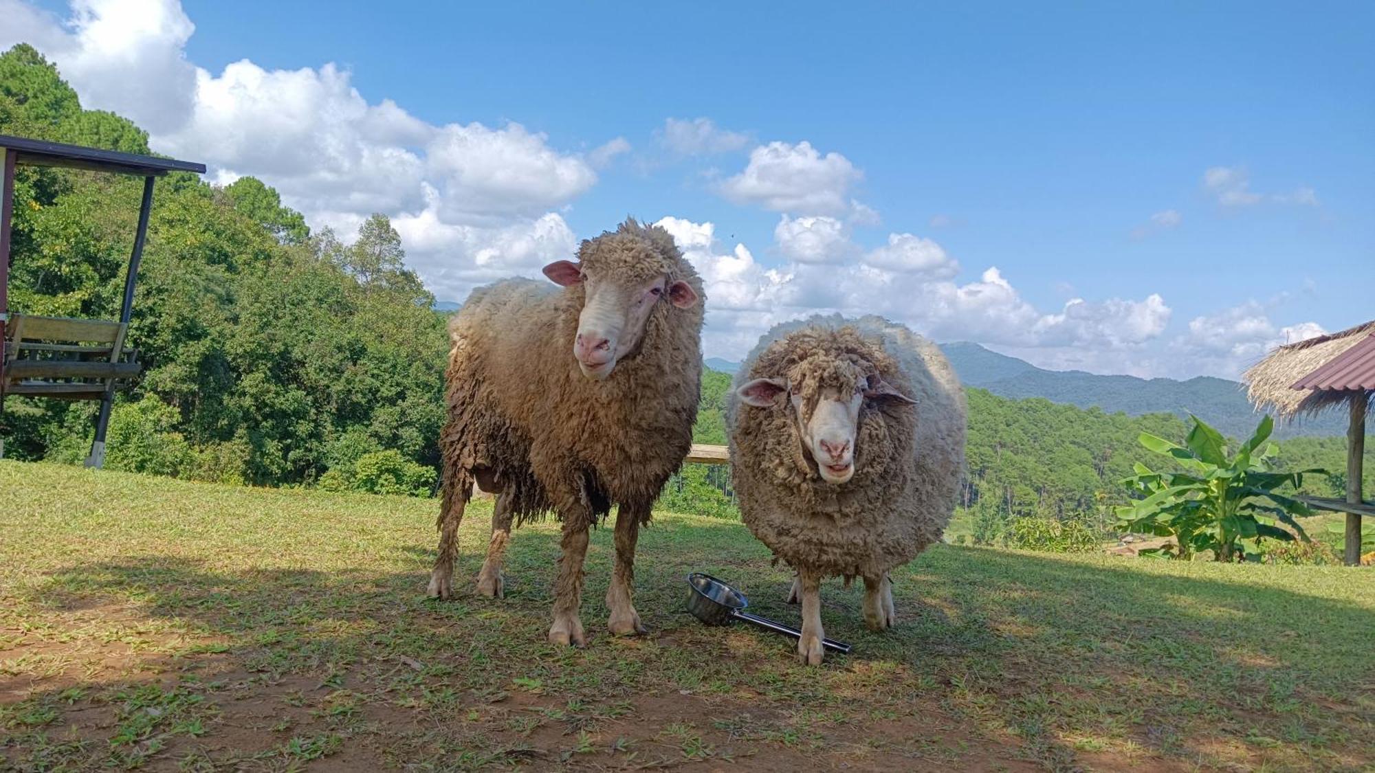 ไร่นิธิสุนทร Nithisoonthon Farmstay Mae Hong Son Eksteriør bilde
